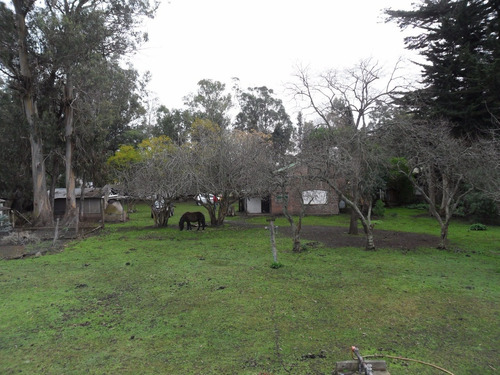 Imagen 28 de 30 de Latorre Prop Vende Campo De 4 Hectareas,cerca De La Ruta 11,del Mar Y Playas,varios Usos,hermosa Arboleda