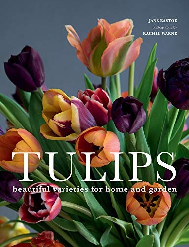 Tulipanes Hermosas Variedades Para El Hogar Y El Jardin