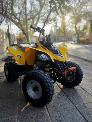 Imagen 3 de 7 de Can Am Ds 250