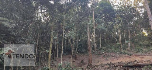 Imagem 4 de 15 de Terreno À Venda, 1800 M² Por R$ 122.000 - Vila Pereira Barreto (ouro Fino Paulista) - Ribeirão Pires/sp - Te0349