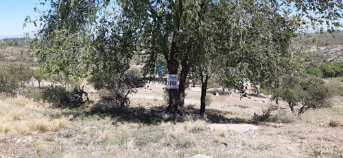 Gusberti Propiedades Vende: Lote Con Servicios, B. Massé