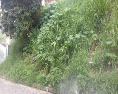 Imagem 13 de 13 de Terreno - Te0020 - 32142050