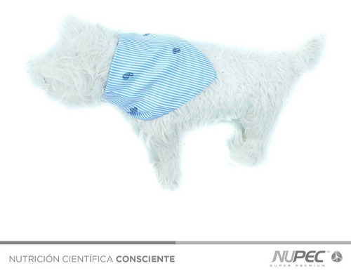 Imagen 2 de 4 de Ropa Para Perro Paliacate Azul Claro Talla Extra Grande (xl)