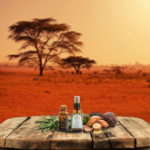 Shea Terra Organics Argán Y Romero Aceite Limpiador | El Tra