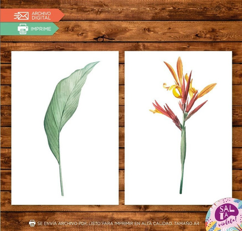 Laminas Para Cuadros Imprimibles Hojas Plantas - Modelo 3