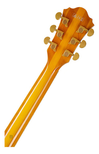 Guitarra Electrica Hollow Ibanez Pm2aa Pat Metheny