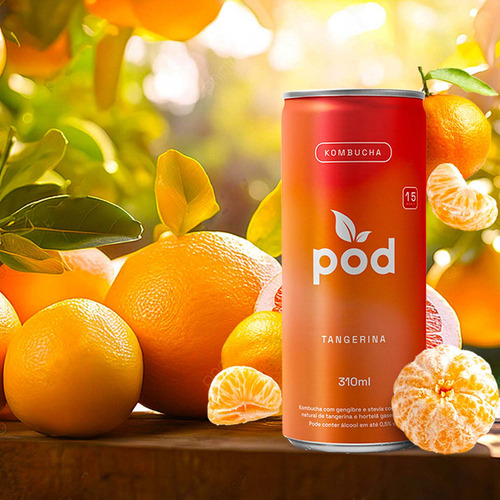 Kombucha Probiótico Tangerina Pod 310ml