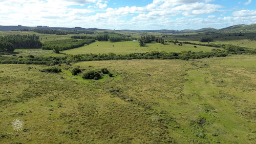 Chacras En Venta Con Arroyo A 40 Minutos De Maldonado (ref: Bpv-10409)
