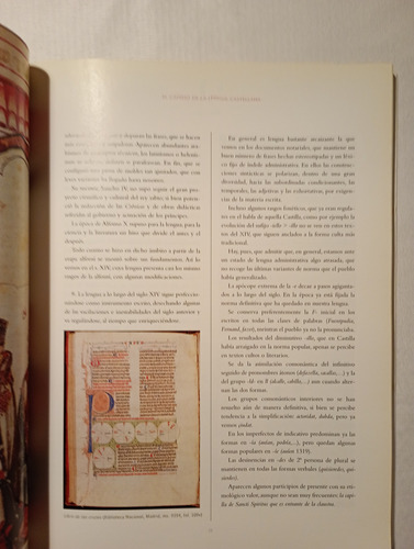 El Camino De La Lengua Castellana (Usado)