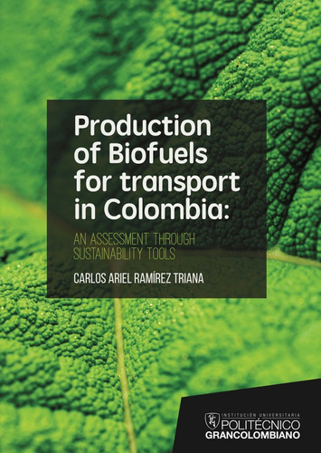 Production Of Biofuels For Transport In Colombia