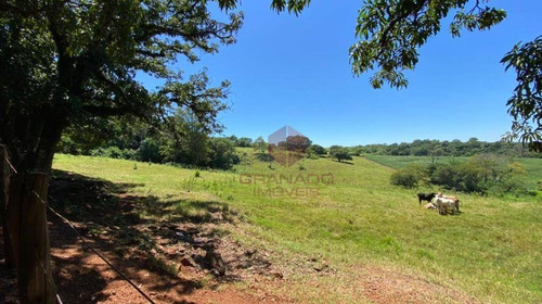 Imagem 8 de 10 de Excelente Área De 16 Alqueires, Com Potencial Valorização Em Região De Grande Desenvolvimento, Próximo Ao Tecnoparque De Maringá. - Si0003