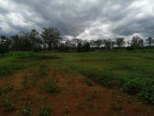 Imagen 2 de 7 de Terreno En Venta Terrenos Huasca Con Servicios 24 Msi