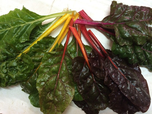 32 Semillas Orgánicas De Beta Vulgaris Var. Cicla