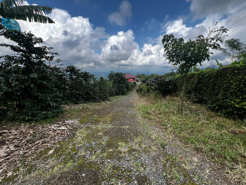Finca En Venta Combia -pereira (279057869).