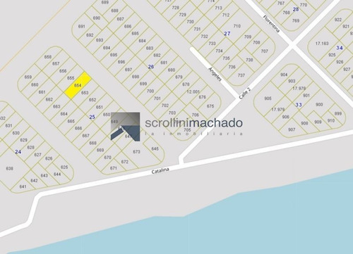 Imagen 1 de 1 de Terreno En Venta Santa Monica -ref:1588