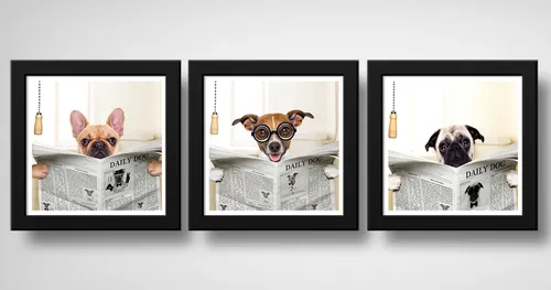 comprar Set 3 Cuadros Perro Baño Mascotas Arte Pet Decoracion
