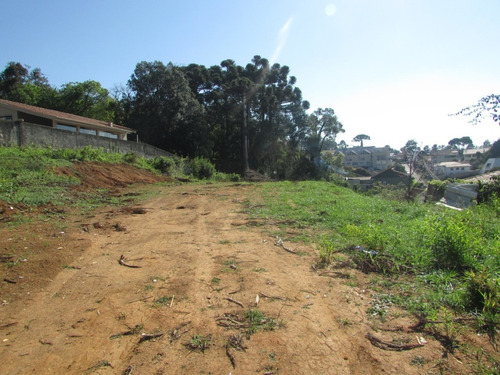 Imagem 4 de 6 de Terreno Para Venda - 10600.2063