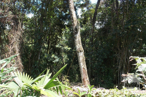 Imagem 6 de 15 de Lote Em Condomínio À Venda No Bosque Residencial Do Jambreiro - Código 274094 - 274094
