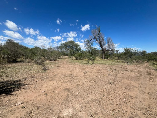 Venta Campo Villa Quillinzo (40 Hectareas) Ideal Para Loteo