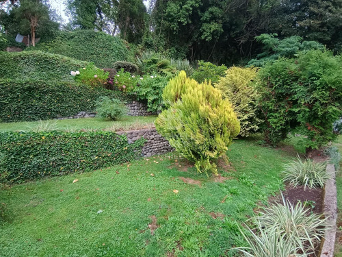 Espectacular Casa Comercial , Frente Al Lago Llanquihue.