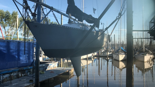 Velero Dangelo 24
