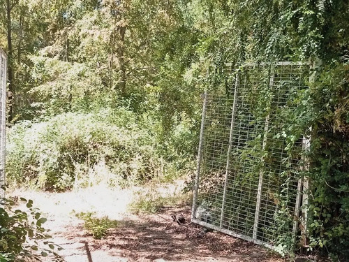Venta De Parcela 10000mt2 De Terreno La Placeta-lo Beño