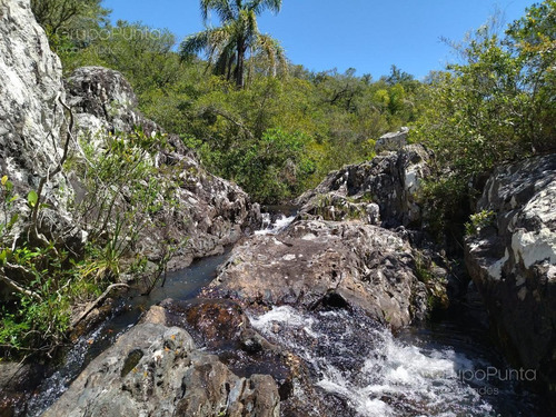 Imagen 5 de 15 de Chacras Financiadas En Aiguá - Maldonado