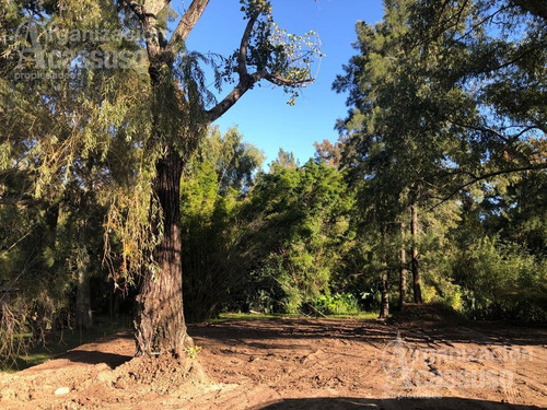 Imagen 2 de 7 de Terreno - Rincon De Milberg
