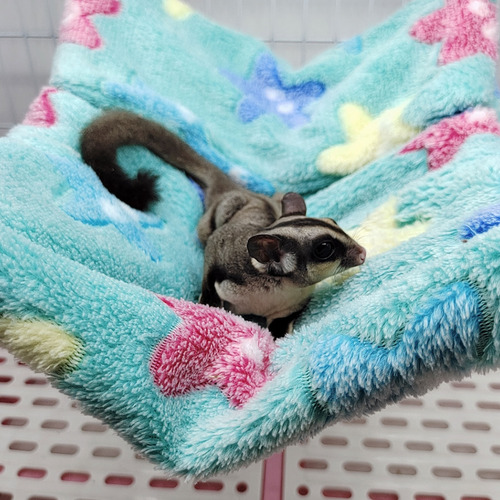 Hamaca De Felpa Para Mascotas, 7 Litros, Suave, Cálida, Para