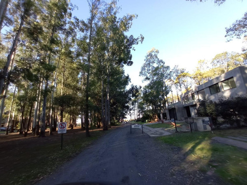 Terreno En Puerto Paraiso - Barrio Cerrado - Gran Arboleda - Bajada Al Rio