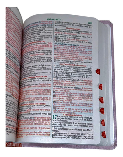 Bíblia Sagrada Evangélica Letra Gigante Com Índice - Abençoada Por Deus - Feminina Versão Almeida Revista E Corrigida Com Harpa E Corinhos Linda Capa Luxo