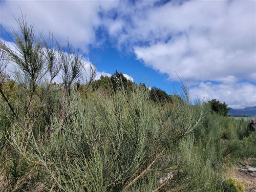 Parcela En Venta En Puerto Varas