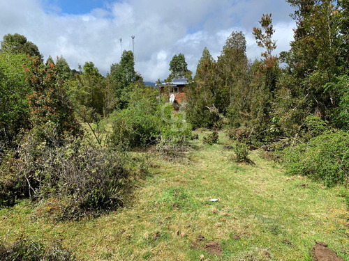 Cercana A RÃo, Orilla De Camino.