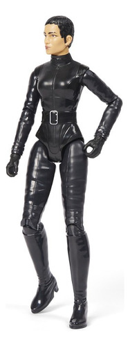 Figura The Batman Dc Spin Master Gatubela Selina Kyle
