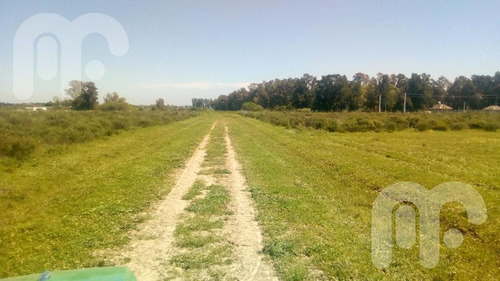 Imagen 16 de 19 de Terreno - La Plata