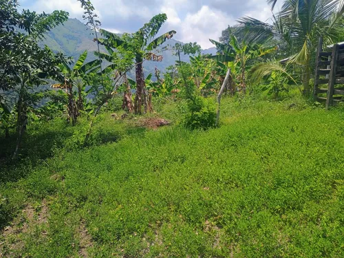 Finca Multipropósito En Minasal Yacopi Cundinamarca