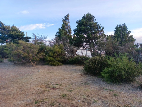 Sitio Terreno En Venta Punta Arenas Sector Barranco Amarillo