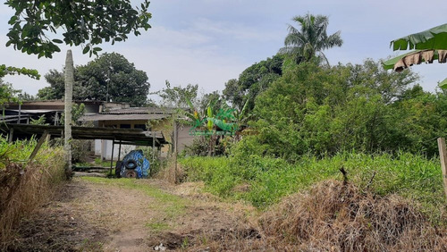 Imagem 3 de 30 de Chácara Á Venda Em Mongaguá!! - Ch0220