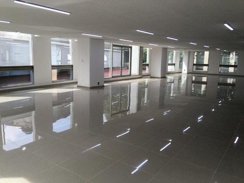 Oficina En Renta - Thiers Piso 5 - 538 M2