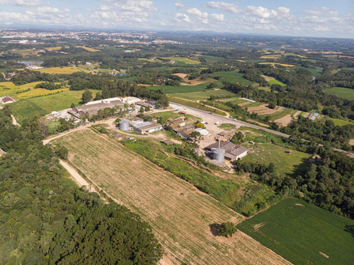 Imagem 7 de 17 de Terreno/ Área 20.000m² A Venda Em Araucária Pr. - Te00002 - 68828711