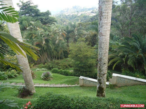 Imagen 4 de 12 de Casa En Venta - La Lagunita