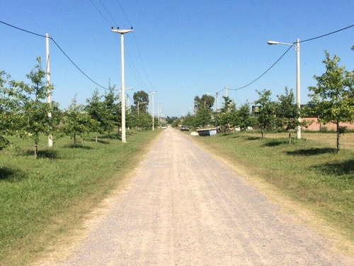 Imagen 4 de 10 de Barrio Cerrado Las Casuarinas - Ibarlucea