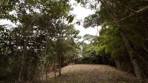 Vendo / Permuto Por Apartamento Lote A 50 Minutos De Cali Via Al Mar. $20.000/m2