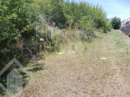 Imagem 4 de 10 de Terreno - Vila Nova - Ref: 122050 - V-122050