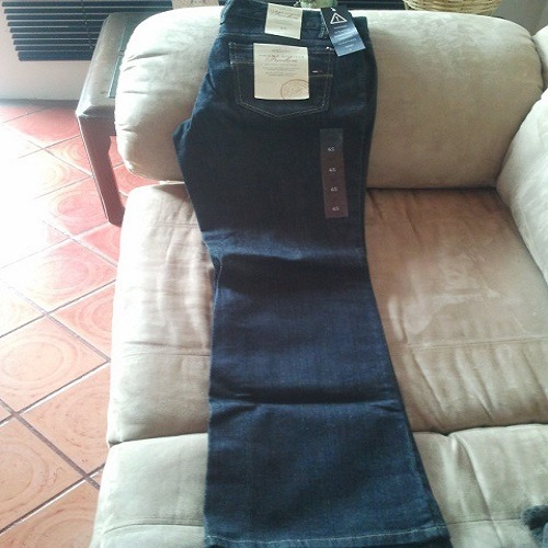 Imagen 2 de 6 de Blue Jean Tommy Hifilger