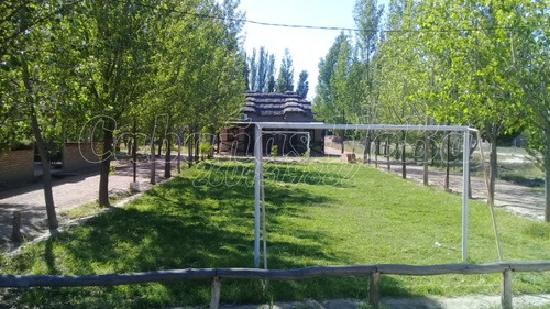 Alquiler Temporario Turismo San Rafael Mendoza, Cabañas Hoba