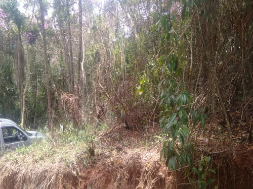 Imagem 6 de 7 de Chacara - Ch00021 - 34782869