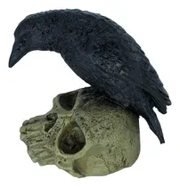 Comprar Estátua Corvo Na Caveira - Decoração Ocultismo Em Resina Cor Preto