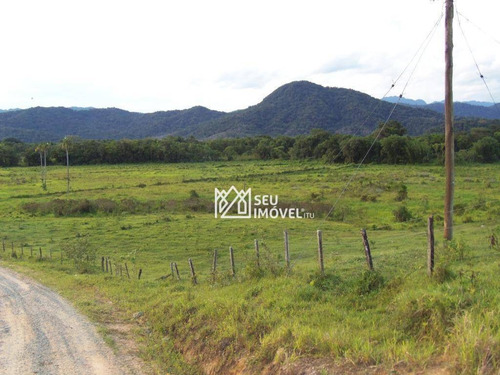 Imagem 7 de 19 de Fazenda Com 3 Dormitórios À Venda, 2420000 M² Por R$ 3.300.000,00 - Rio Verde - Cananéia/sp - Fa0001