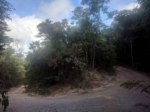 Imagem 1 de 6 de Ótima Área Plana, Em Meio À Muito Verde, 6210 M², R$ 500.000,00 - Rio Do Ouro - Niterói/rj - Te4312